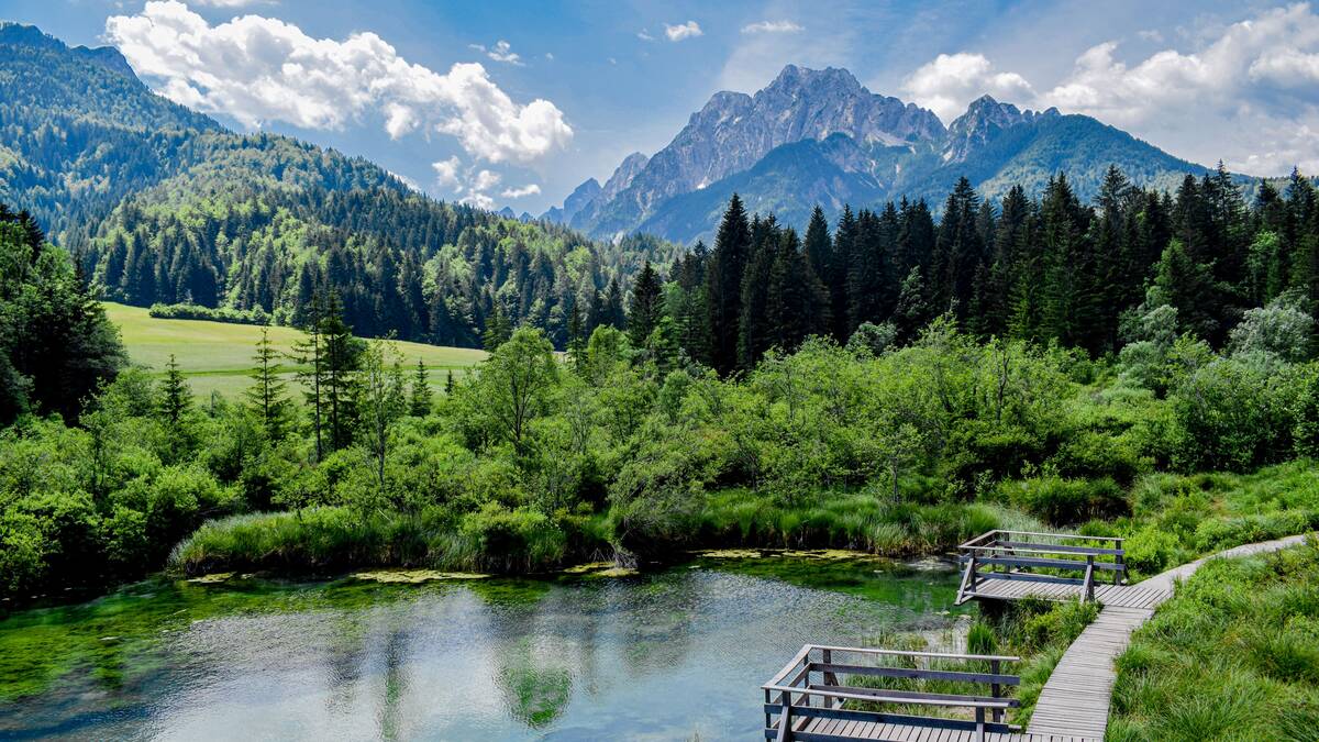 A boardwalk through the Zelenci wetlands beneath the peaks of the Julian Alps